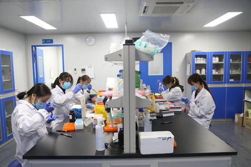 聚焦武漢解碼中部引擎 探訪光谷生物城，看生物制品技術開發如何驅動未來